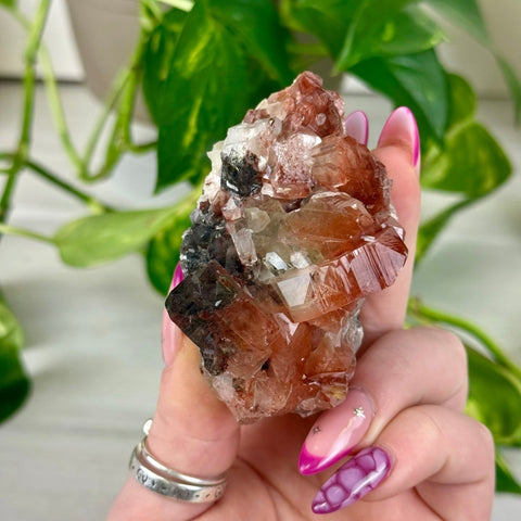 Bleeding Heart Apophyllite M 13 - Kenna's Crystals from TikTok