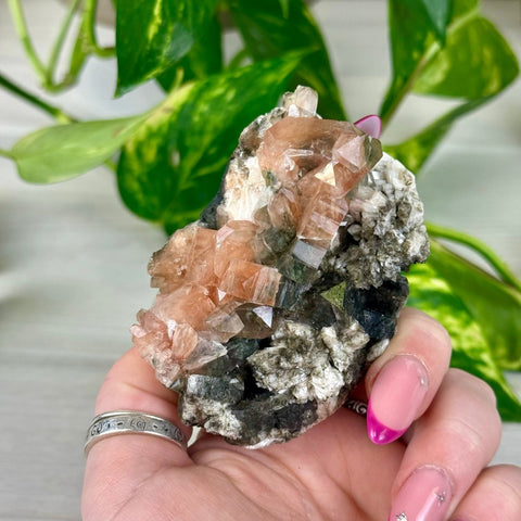 Bleeding Heart Apophyllite N 14 - Kenna's Crystals from TikTok