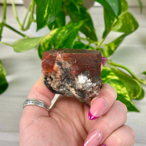 Bleeding Heart Apophyllite O 15 - Kenna's Crystals from TikTok