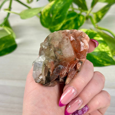 Bleeding Heart Apophyllite P 16 - Kenna's Crystals from TikTok