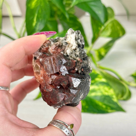 Bleeding Heart Apophyllite Q 17 - Kenna's Crystals from TikTok