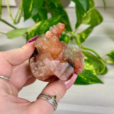 Bleeding Heart Apophyllite R 18 - Kenna's Crystals from TikTok