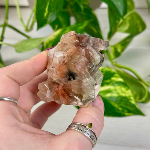 Bleeding Heart Apophyllite S 19 - Kenna's Crystals from TikTok