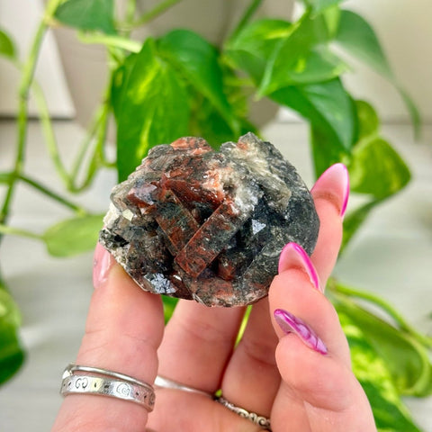 Bleeding Heart Apophyllite T 20 - Kenna's Crystals from TikTok