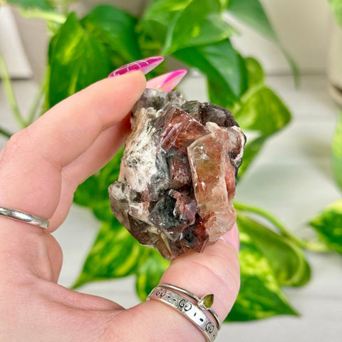 Bleeding Heart Apophyllite U 21 - Kenna's Crystals from TikTok