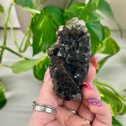 Bleeding Heart Apophyllite V 22 - Kenna's Crystals from TikTok