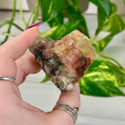 Bleeding Heart Apophyllite Z 26 - Kenna's Crystals from TikTok