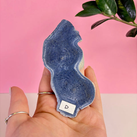 Blue Coral Slice