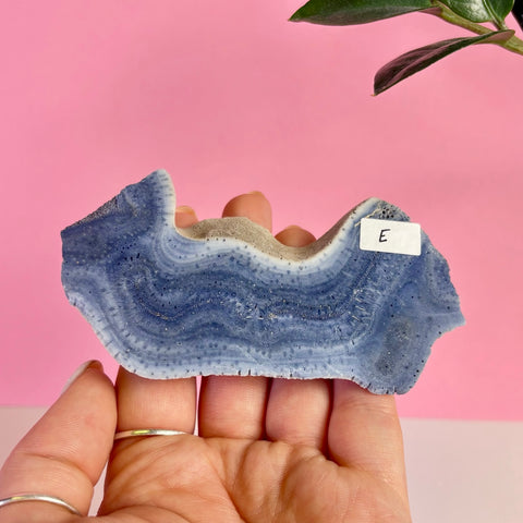 Blue Coral Slice