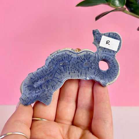 Blue Coral Slice