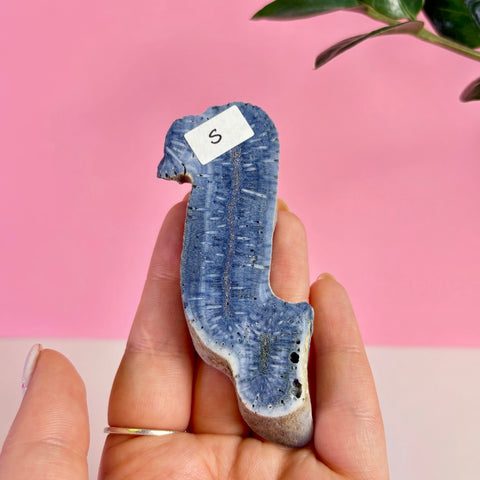 Blue Coral Slice