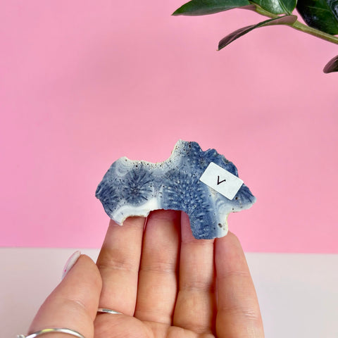 Blue Coral Slice