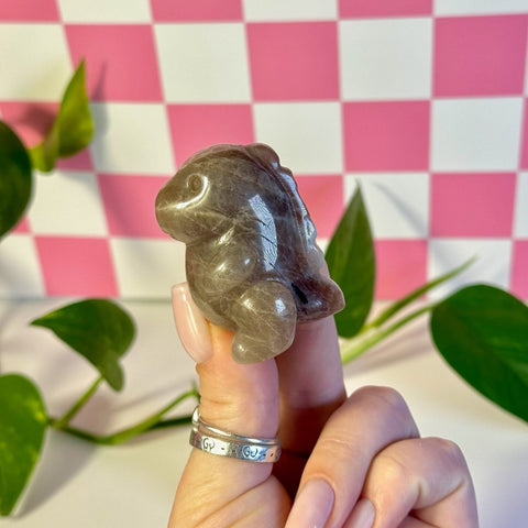 Blue Flash Moonstone Dino 44 2 - Kenna's Crystals from TikTok
