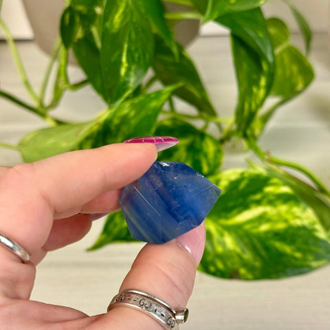 Deep Blue Fluorite Gusher 11 2 - Kenna's Crystals from TikTok
