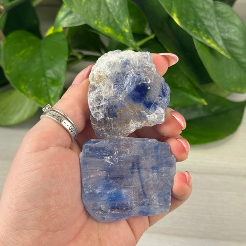 Blue Halite 122 12 - Kenna's Crystals from TikTok