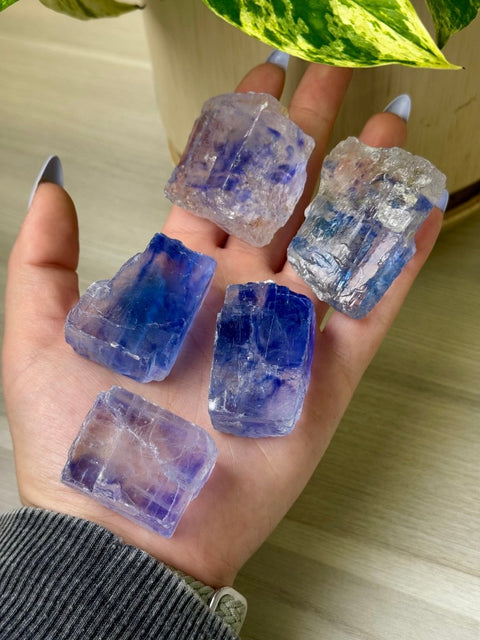 Blue Halite 55 15 - Kenna's Crystals from TikTok
