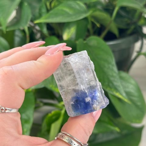Blue Halite 99 10 - Kenna's Crystals from TikTok