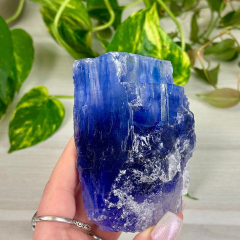 Blue Halite Specimen C 4 - Kenna's Crystals from TikTok