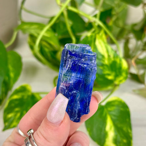 Blue Halite Specimen I 11 - Kenna's Crystals from TikTok