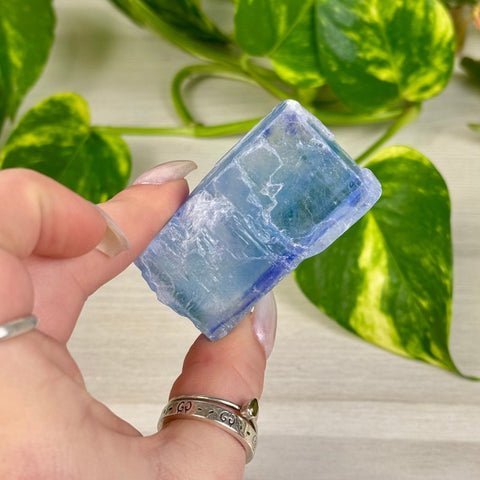 Blue Halite Specimen K 14 - Kenna's Crystals from TikTok