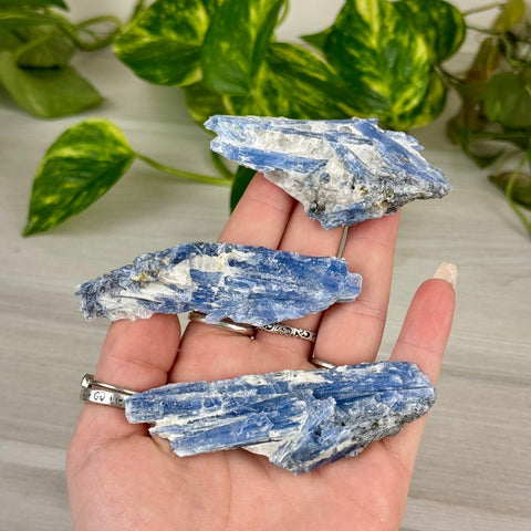 Blue Kyanite Cluster 11 17 - Kenna's Crystals from TikTok