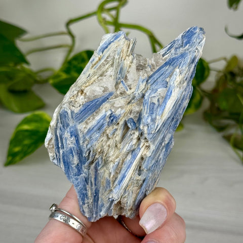 Blue Kyanite Cluster 122 9 - Kenna's Crystals from TikTok