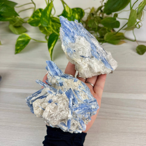Blue Kyanite Cluster 166 8 - Kenna's Crystals from TikTok