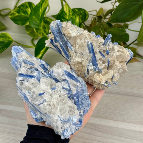 Blue Kyanite Cluster 177 7 - Kenna's Crystals from TikTok
