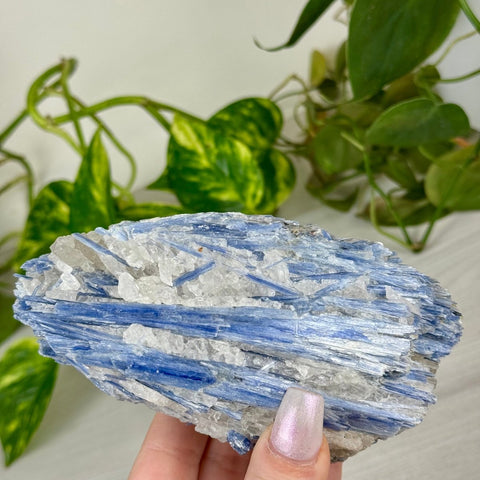 Blue Kyanite Cluster 188 6 - Kenna's Crystals from TikTok