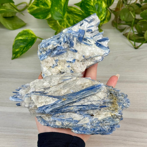 Blue Kyanite Cluster 211 5 - Kenna's Crystals from TikTok