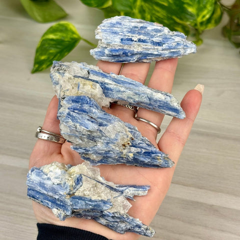 Blue Kyanite Cluster 22 16 - Kenna's Crystals from TikTok