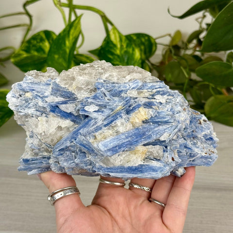 Blue Kyanite Cluster 233 4 - Kenna's Crystals from TikTok