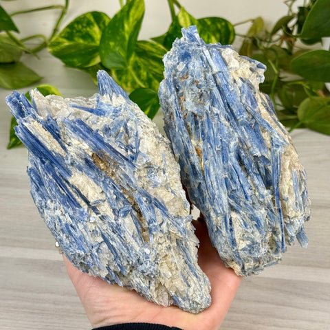 Blue Kyanite Cluster 244 3 - Kenna's Crystals from TikTok