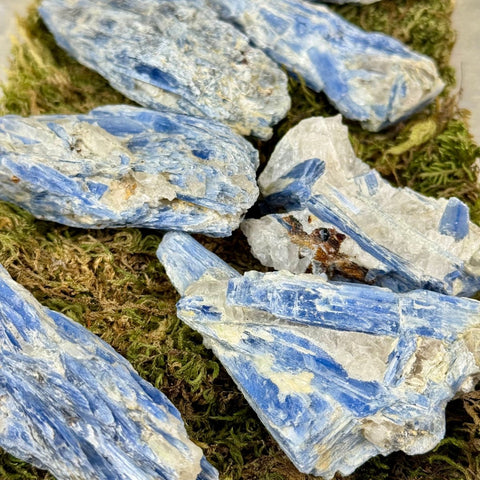 Blue Kyanite Cluster 33 15 - Kenna's Crystals from TikTok