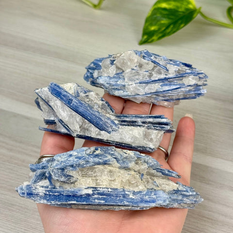 Blue Kyanite Cluster 44 14 - Kenna's Crystals from TikTok
