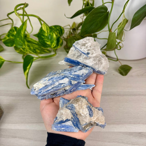 Blue Kyanite Cluster 55 13 - Kenna's Crystals from TikTok