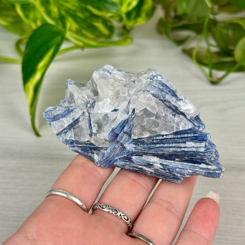 Blue Kyanite Cluster 66 12 - Kenna's Crystals from TikTok