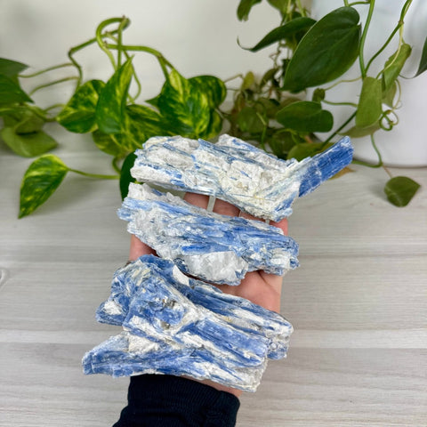 Blue Kyanite Cluster 77 11 - Kenna's Crystals from TikTok