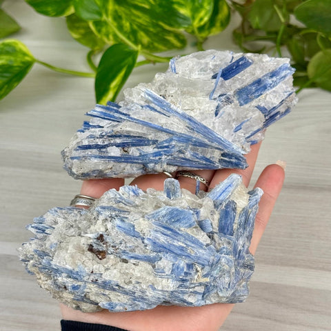 Blue Kyanite Cluster 99 10 - Kenna's Crystals from TikTok