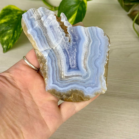 Blue Lace Agate Slab 111 4 - Kenna's Crystals from TikTok