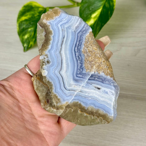 Blue Lace Agate Slab 2 - Kenna's Crystals from TikTok