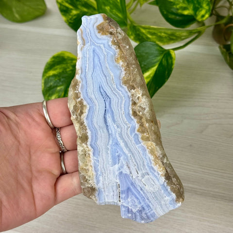 Blue Lace Agate Slab 1 - Kenna's Crystals from TikTok
