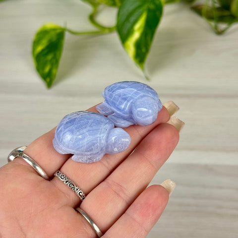 Blue Lace Agate Turtle 44 1 - Kenna's Crystals from TikTok