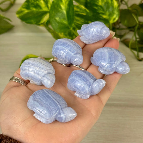 Blue Lace Agate Turtle 55 2 - Kenna's Crystals from TikTok