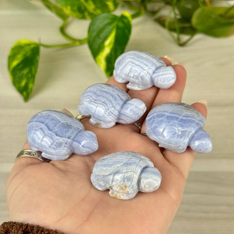 Blue Lace Agate Turtle 66 3 - Kenna's Crystals from TikTok
