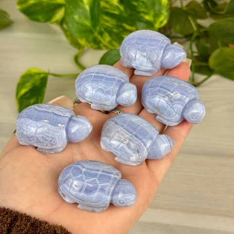 Blue Lace Agate Turtle 77 4 - Kenna's Crystals from TikTok
