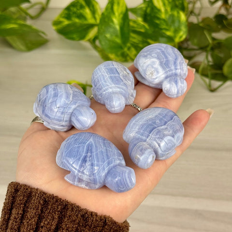 Blue Lace Agate Turtle 88 5 - Kenna's Crystals from TikTok