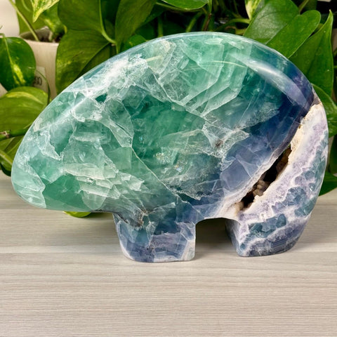 Braxton The Bear 1 - Kenna's Crystals from TikTok