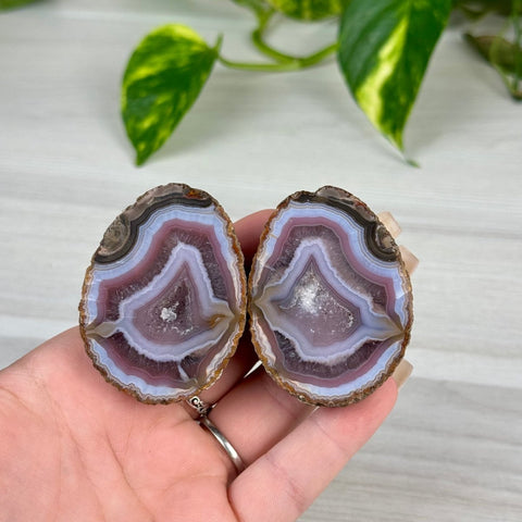 Candy Agate Pairs L 12 - Kenna's Crystals from TikTok