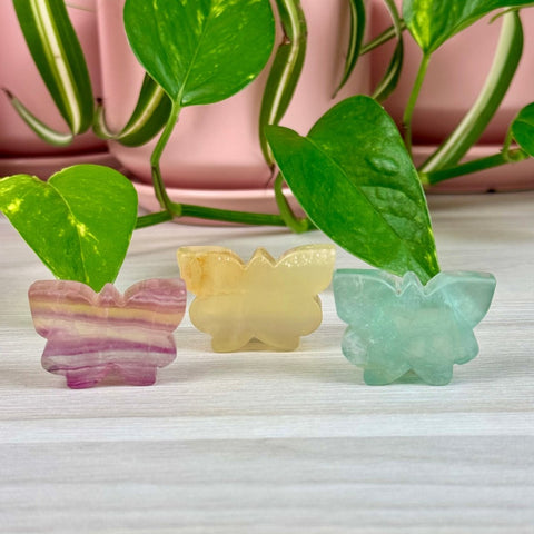 Candy Fluorite Crystal Butterfly 11 2 - Kenna's Crystals from TikTok